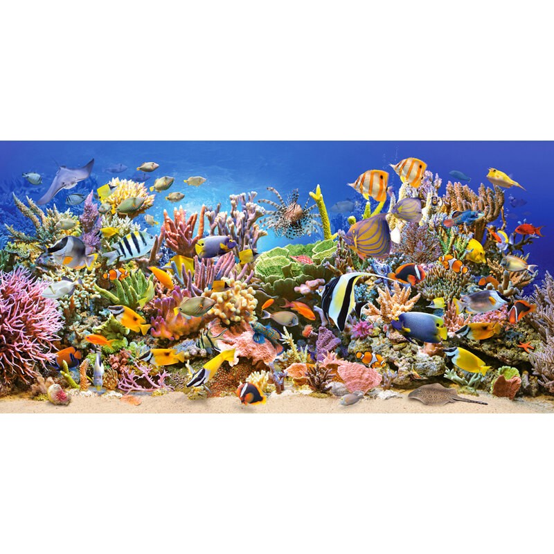 Castorland c-400089 puzzle underwater Life animales mar de agua natural 4000 piezas 